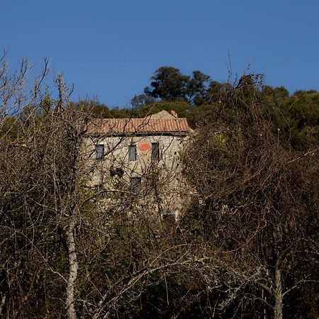 Casa Giacometti Grosseto-Prugna Экстерьер фото