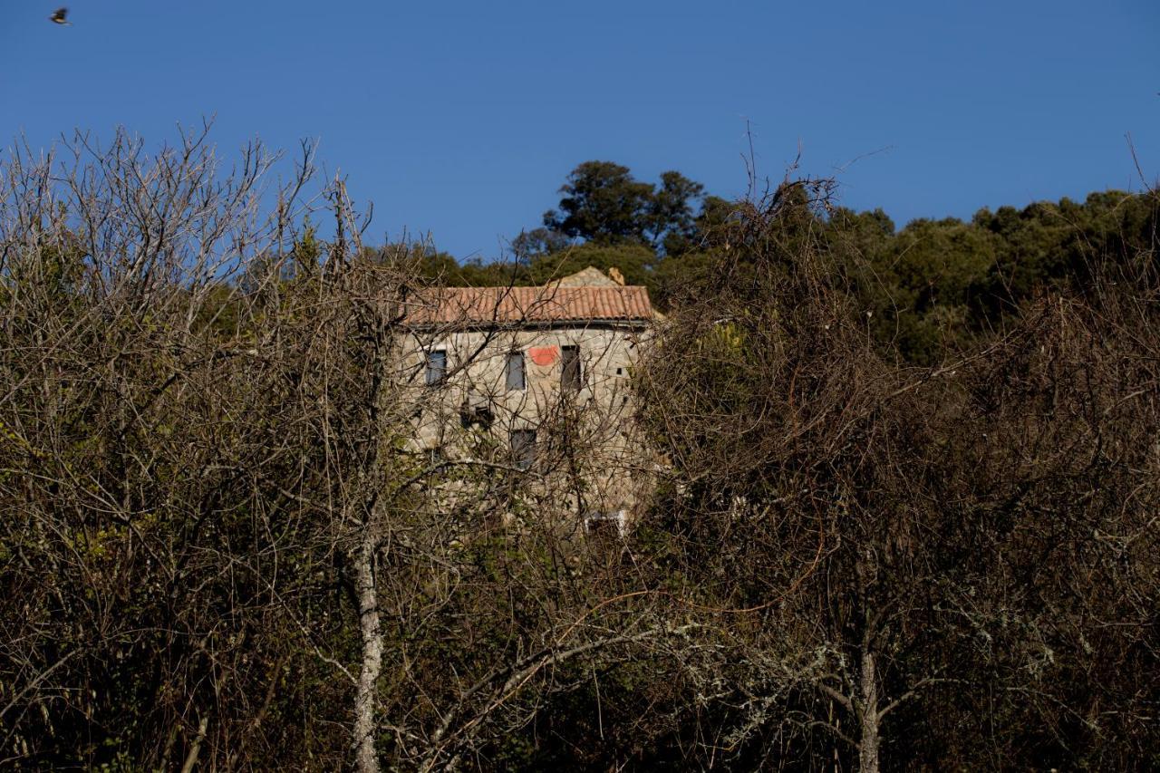 Casa Giacometti Grosseto-Prugna Экстерьер фото